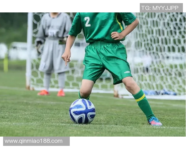 1983年出生的足球球星回顾与成长历程解析