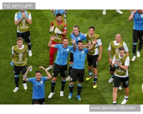 乌拉圭足球界最帅球星盘点谁才是最具魅力的足球英雄